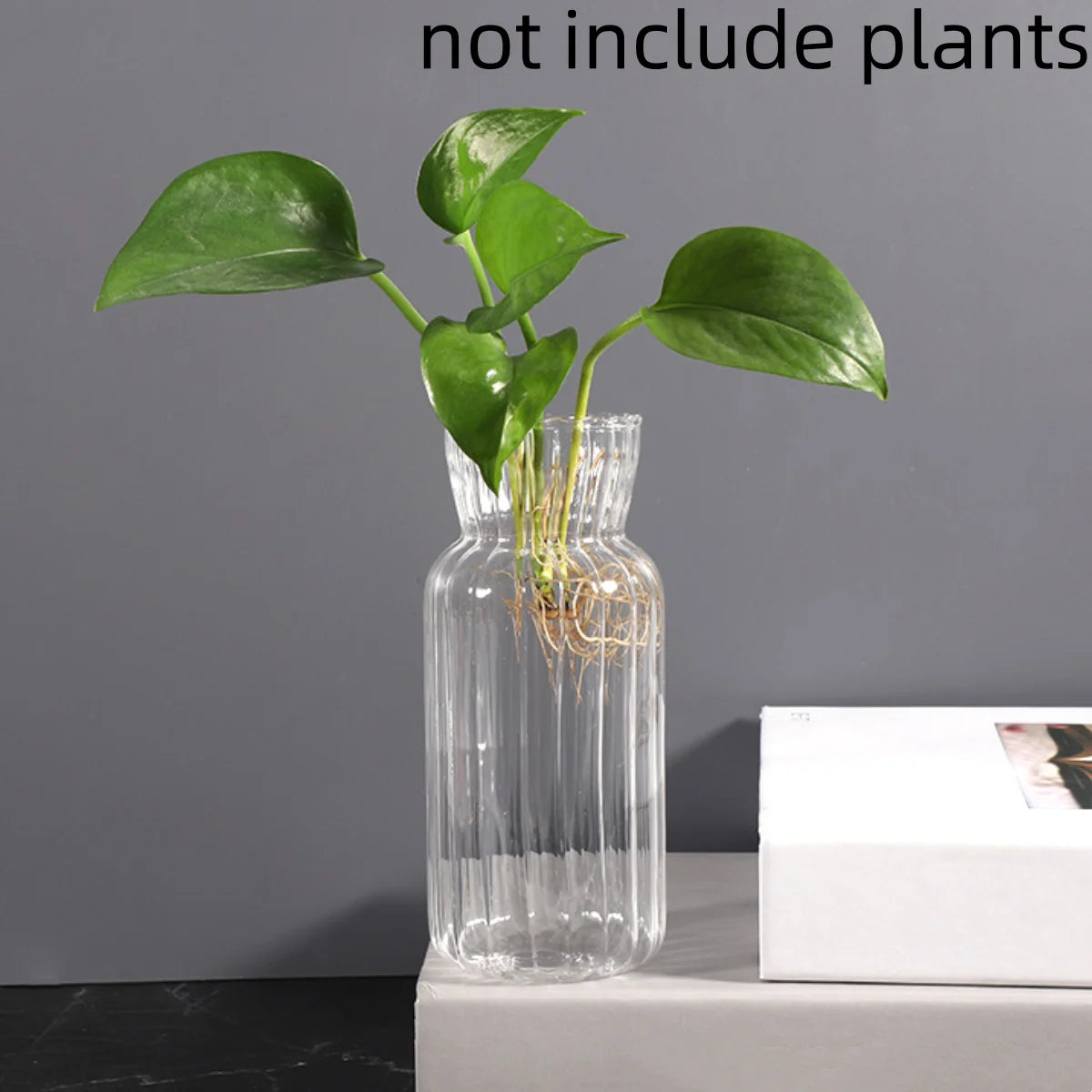 Transparent Glass Vases