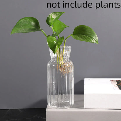 Transparent Glass Vases