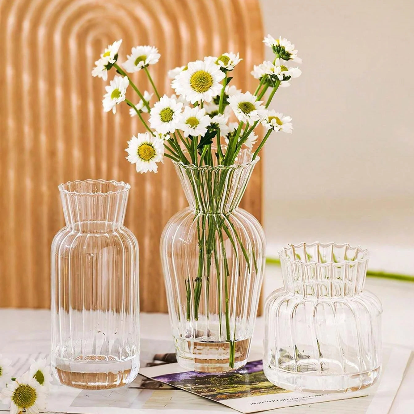 Transparent Glass Vases
