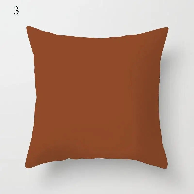Orange | Terracotta Cushion Covers
