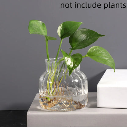 Transparent Glass Vases